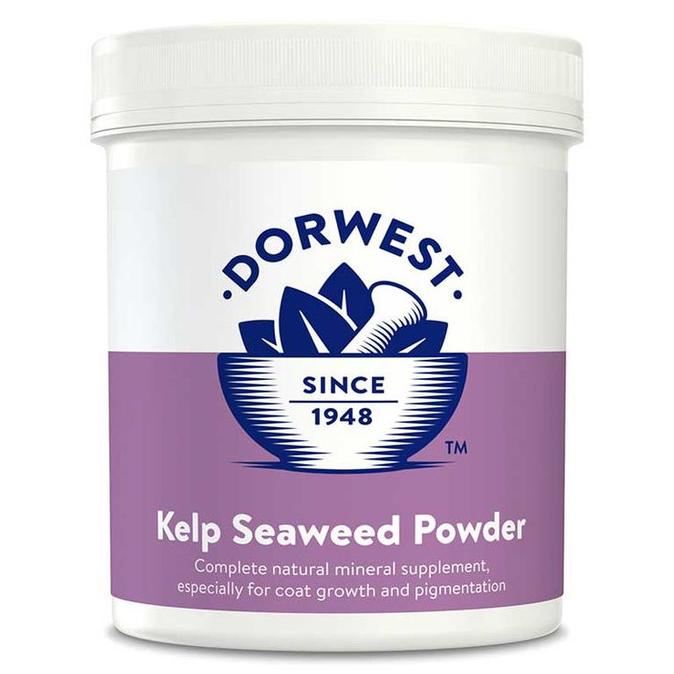 

Hot Sale Dorwest Kelp Seaweed Powder Hot Sale