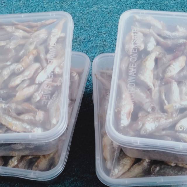 

Ikan Bilih ORI singkarak 250gr
