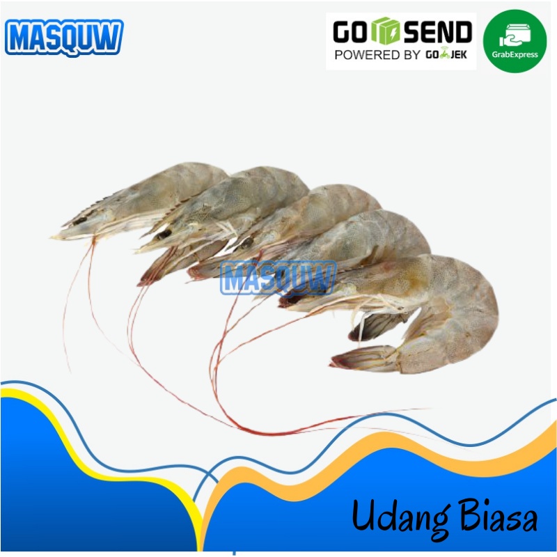 

UDANG BIASA WERUS SEGAR FRESH 500gram MASQUW