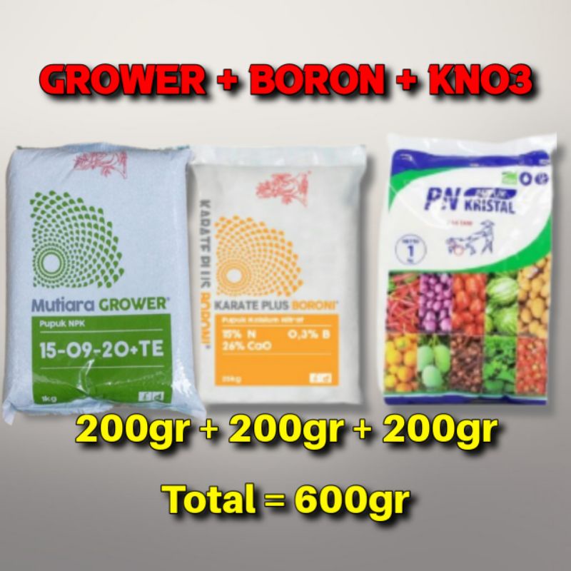 Jual Pupuk NPK GROWER BORON KNO3 Putih 200 200 200 600gr Shopee