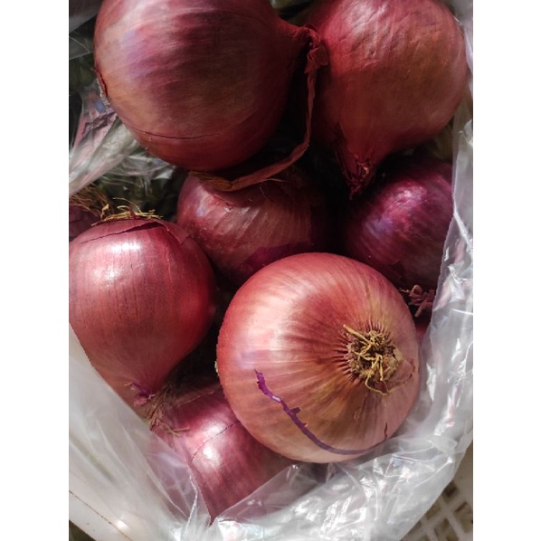 

Bawang bombay Merah 500gram