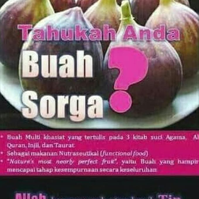 Premium Bibit Pohon Buah Tin Jenis Niagara Black #_*