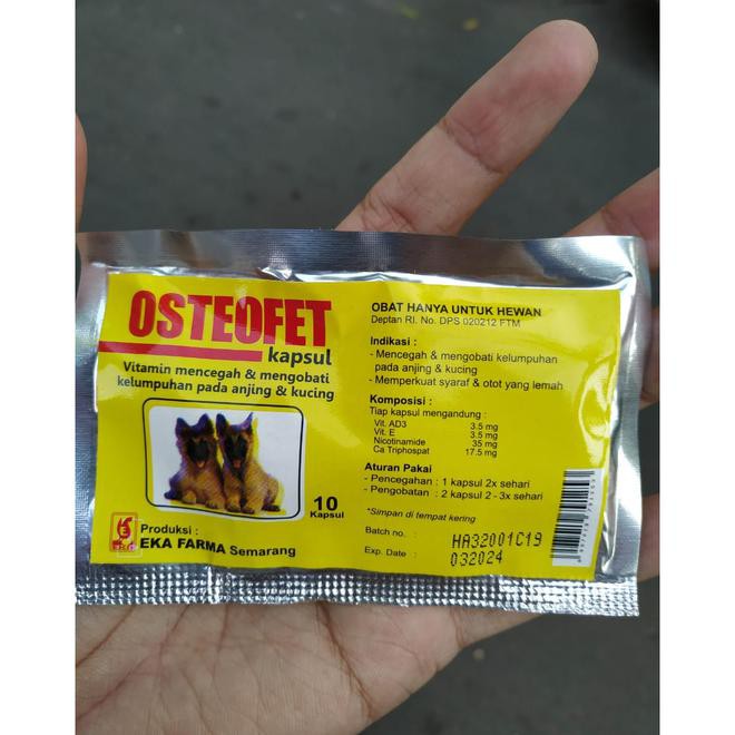 Osteofet Kapsul - Obat Lumpuh Anjing Obat Syaraf Kucing Vitamin Syaraf