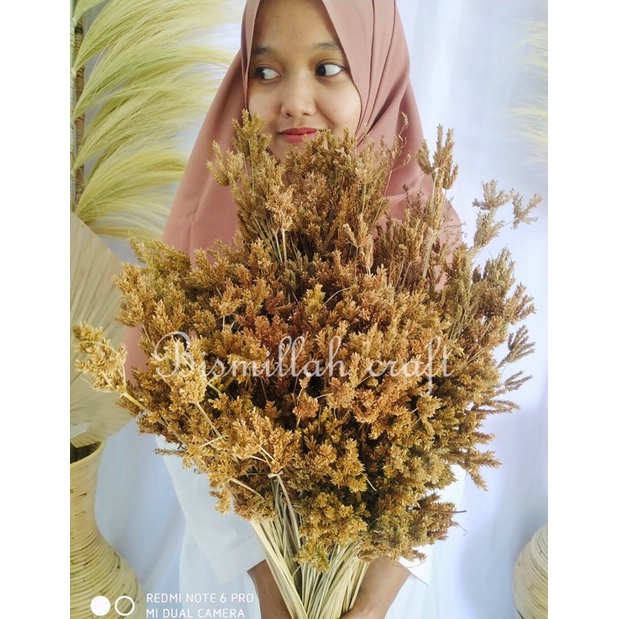 bunga bintang ceker ayam ilalang pampas rayung kering Buket Bunga Kering Dekorasi Engagement Mahar