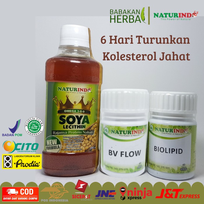 

Naturindo Obat Herbal Spesial 6 Hari Turunkan Kolesterol dalam Darah