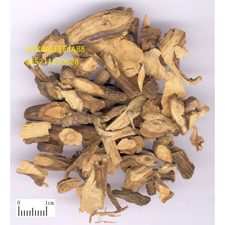 

shan dou gen 山豆根 Sophorae Tonkinensis Radix 100 gram