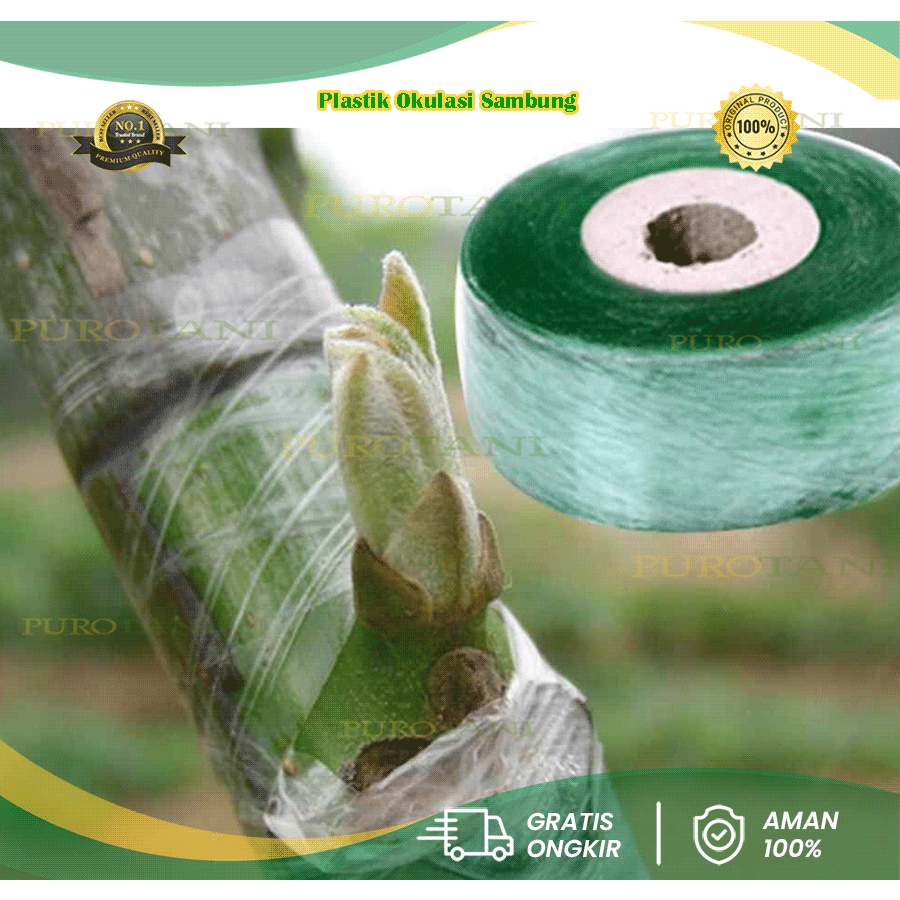 Parafilm Plastik Perekat Grafting Tape Okulasi Tanaman Tempel 3CM