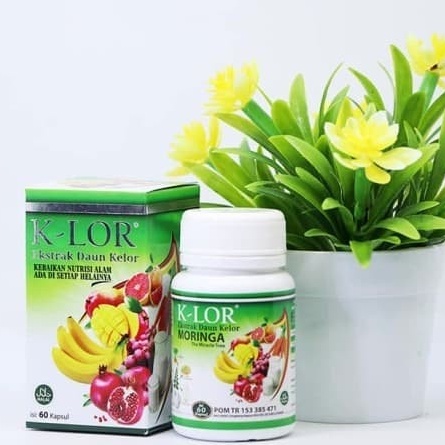 

extract daun KLOR MORINGA