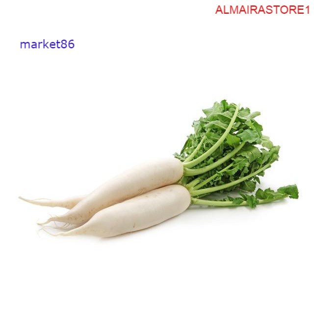 

Sayuran Segar Sayur FRESH Lobak Putih Per Buah 500-700 Gram - WFB .