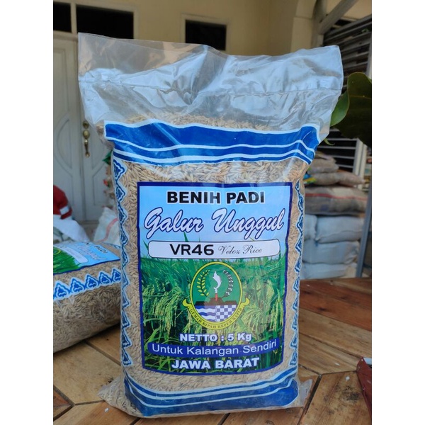Benih Padi Super Genjah Cepat Panen VR 46 Velo Rice 46 - SRI REN 70 75 Hari HST Kemasan 5 kg