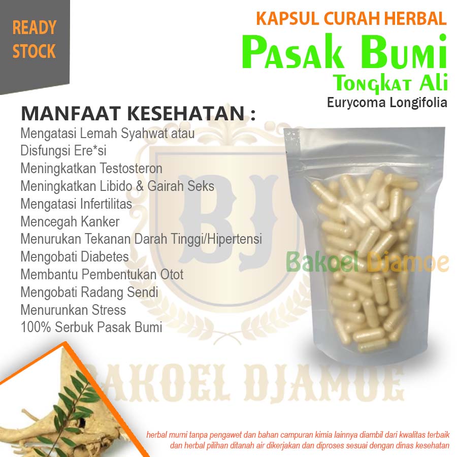 

Kapsul curah herbal pasak-bumi kapsul herbal lemah pria