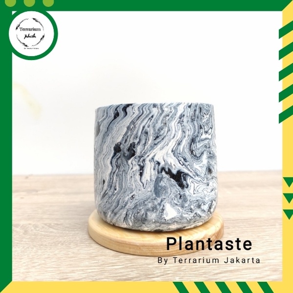 Pot Semen - Terrarium Jakarta - Pot Sukulen Pot kecil - Marble Hitam