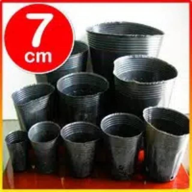 20 Polybag cetak import isi 20 biji