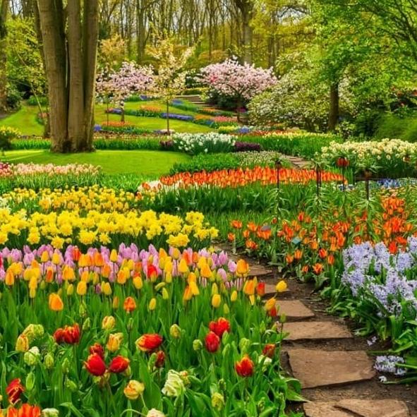 Wallpaper Custom Wallpaper 3D Wallpaper Dinding Walpaper Taman Bunga Termurah