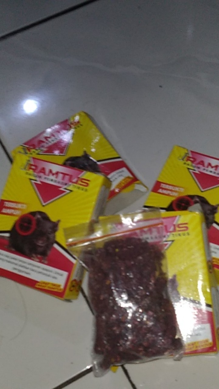 Ramtus Obat Racun Tikus Langsung Mati Kering Tidak Bau Sangat Ampuh Racun Pembasmi Tikus 4 Pack