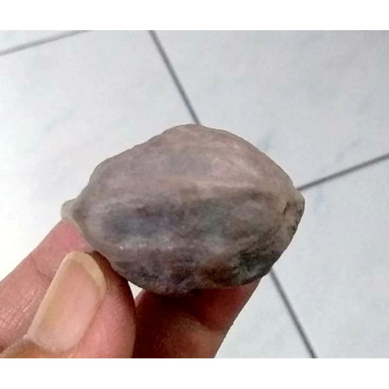 Muncang Adu Mantili Ori Full Tua