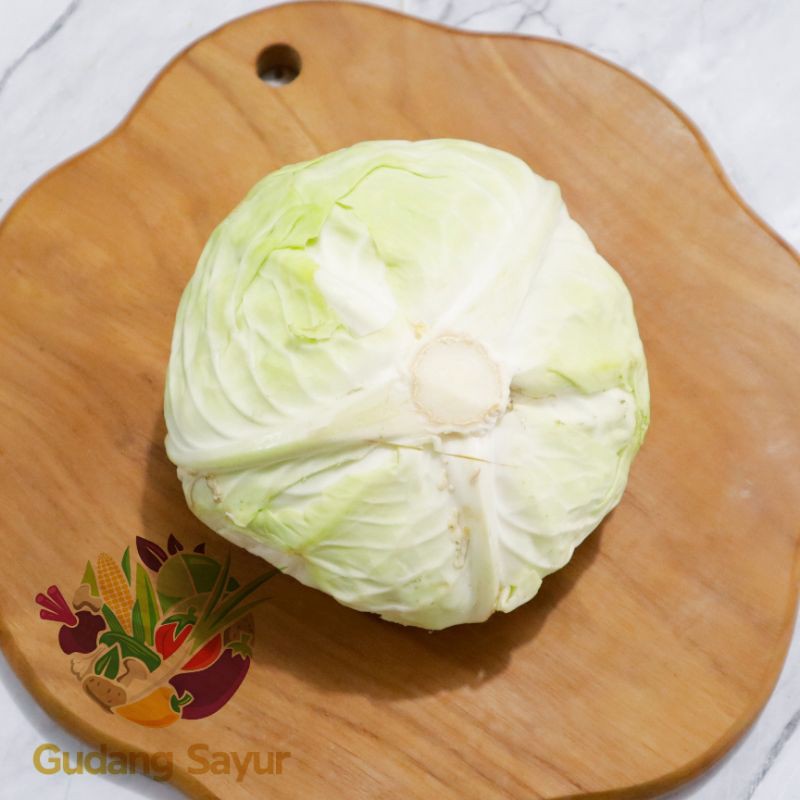 

Gudang Sayur - Sayur Kol / Kubis 300 Gram