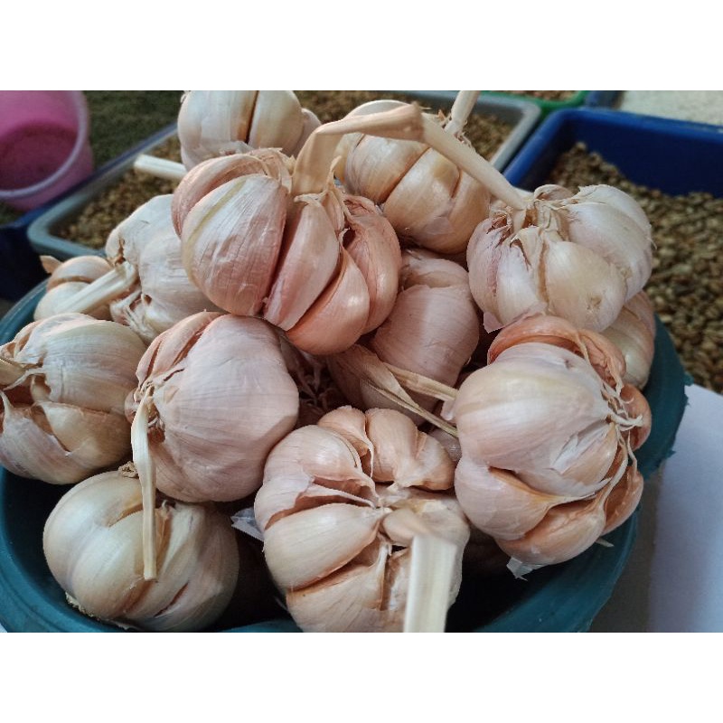 

bawang putih