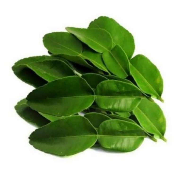 

DAUN JERUK PER GR SAYUR SEGAR PALEMBANG