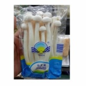 

JAMUR SALJU SHIMEJI 150 GR