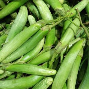 

Terong Medan 200gr/ Terung Telunjuk/ Terong Kecil/ Terong Telunjuk