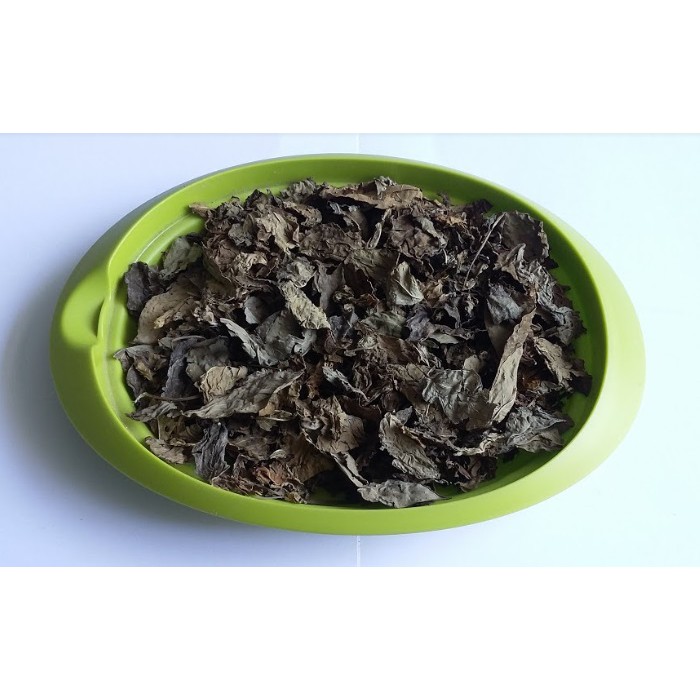 Simplisia Daun Katuk Kering Best Quality 1 Kg