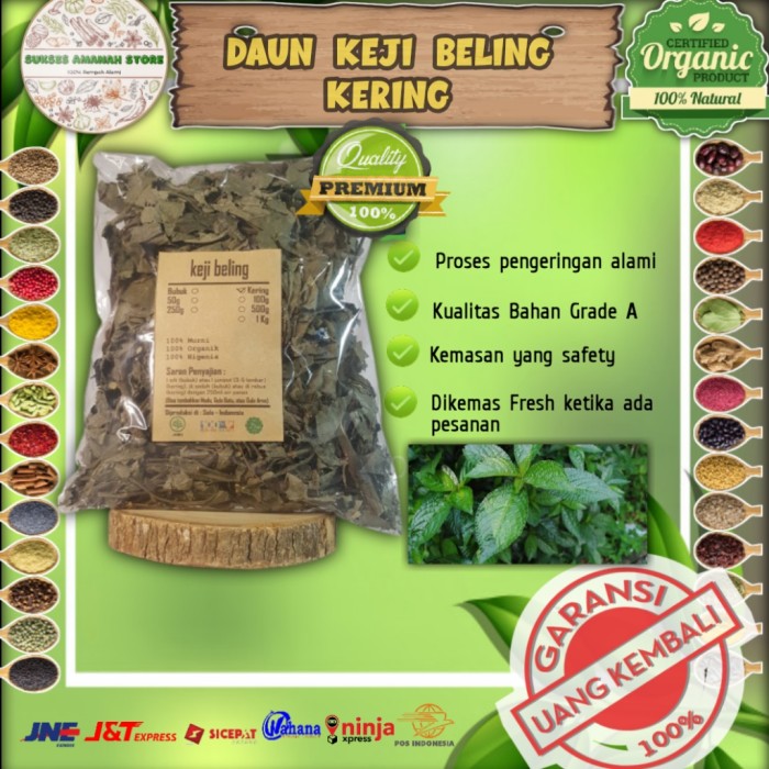 

Daun Keji Beling Kering Murni 50 Gram Strobilanthes Crispa