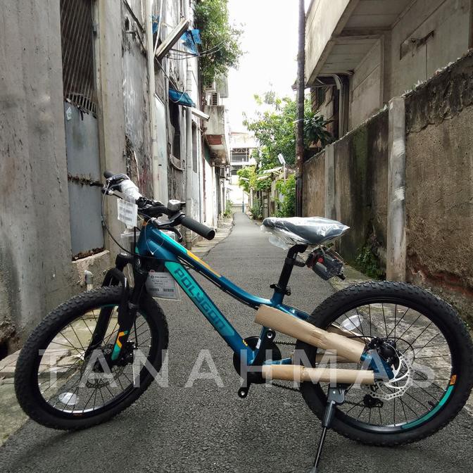 Sepeda MTB Polygon 20" RELIC