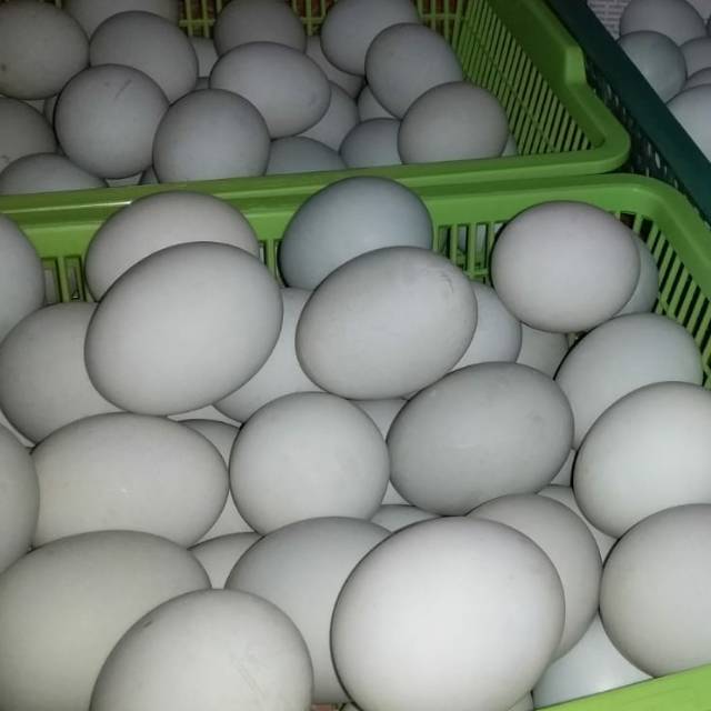 

Telur Asin Siap Saji.Fresh Masir