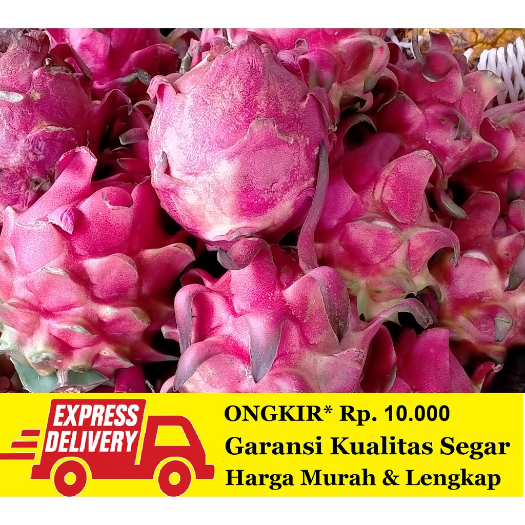 

Buah Naga Fresh 1 kg