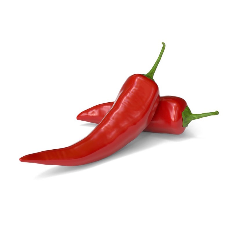 Jual CAPSICUM TINCTURE Shopee Indonesia