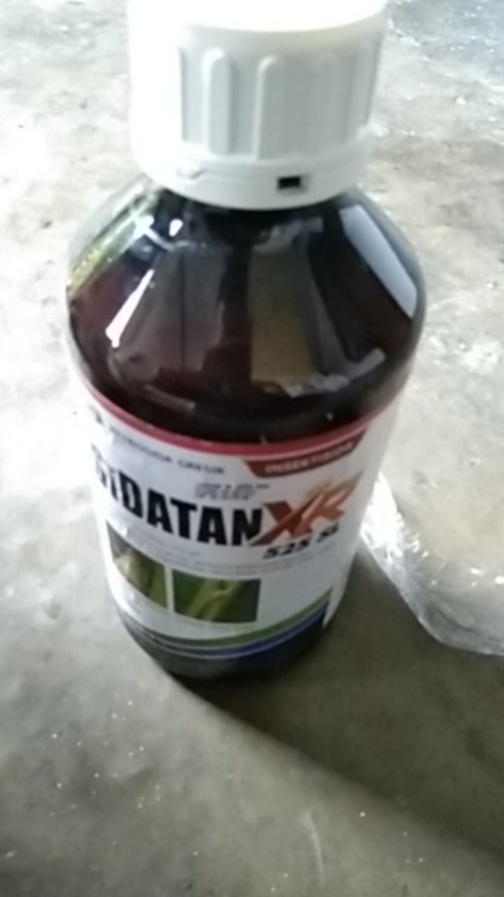 Sidatan Xr Pestisida Insektisida Pengendali Sundep / Penggerek Batang / Wereng Coklat 500ml 1liter