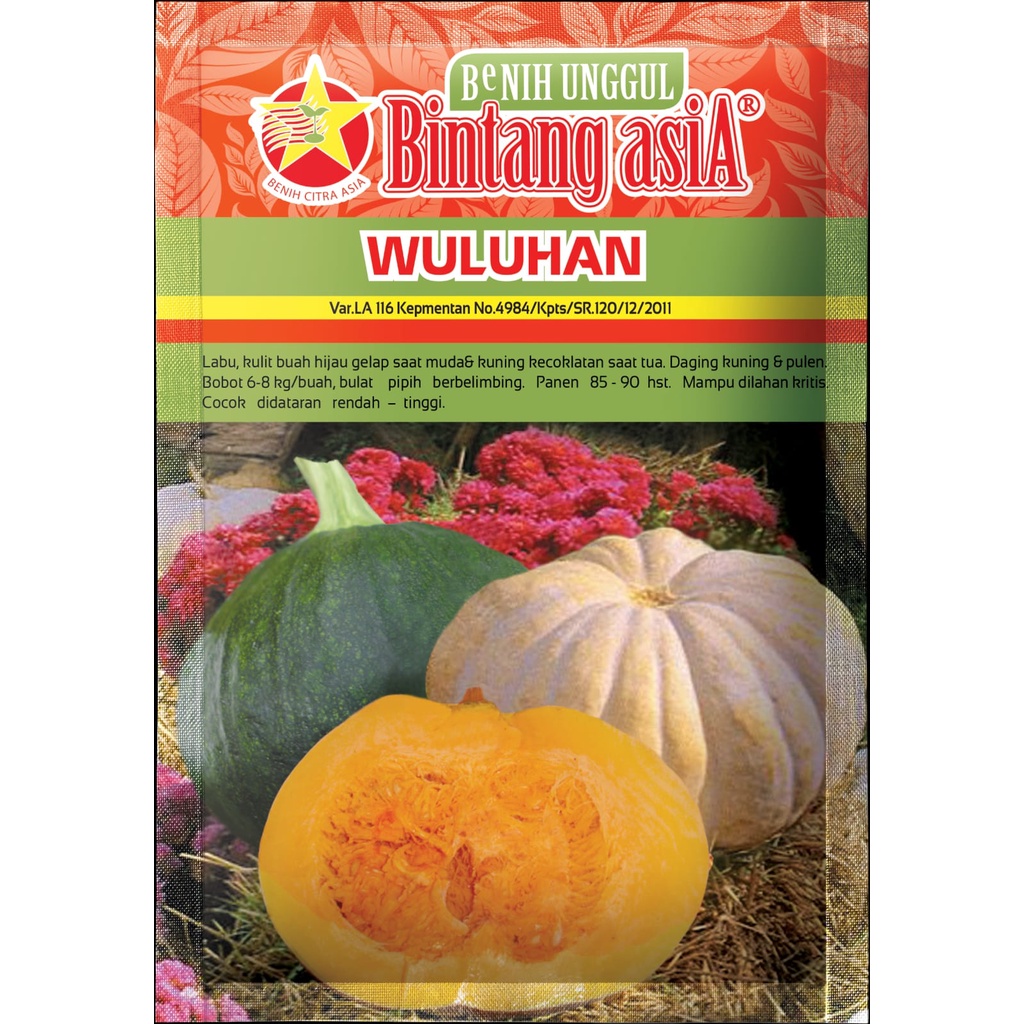 Jual Benih Labu WULUHAN 10 Gr - Reguler pouch - Bintang Asia | Shopee ...