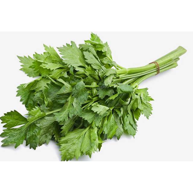 

Daun seledri Fresh