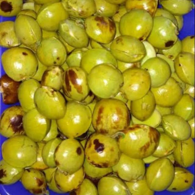 

Jengkol
