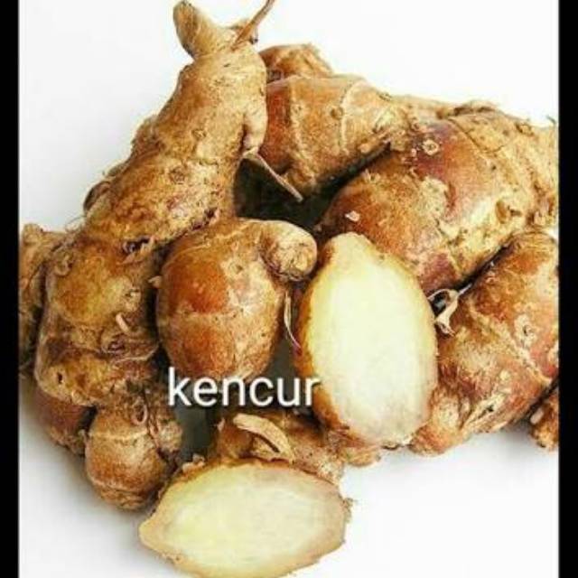 

Kencur 1/2