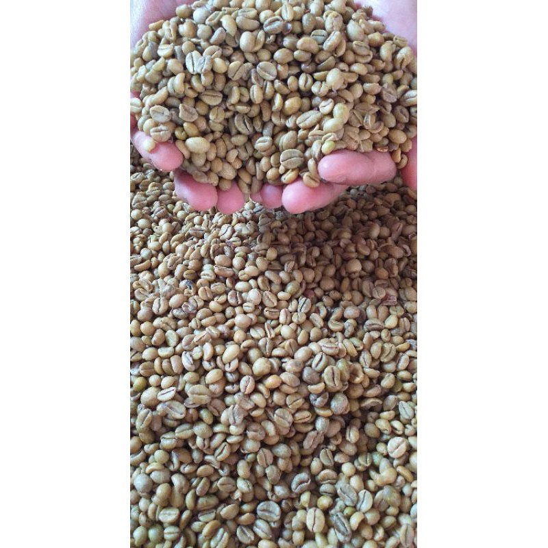 

Biji Kopi java Excelsa 500 gram / biji mentah aroma fruity