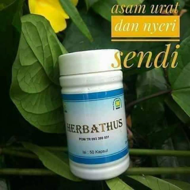 

HERBATHUS NASA ( ATASI ASAM URAT & NYERI SENDI )