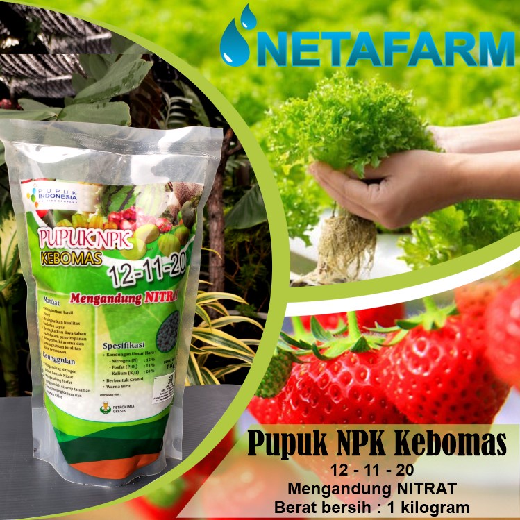 Pupuk PETRO pertanian tanaman NPK kebomas 12 - 11 - 20 ( 1kg )