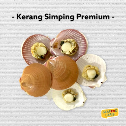 Jual KERANG SIMPING BERSIH PREMIUM 1KG Indonesia|Shopee Indonesia