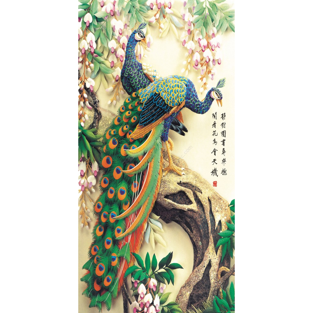 55 Gambar Burung Merak Dan Cendrawasih Gratis Terbaik