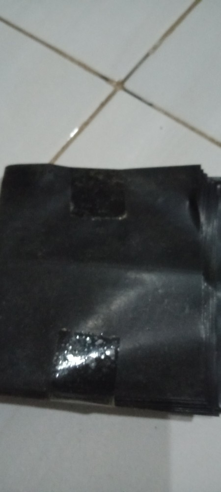 Polybag Ecer 10x10 15x15 20x20 25x25 30x30 40x40 18x18 Polibag Polibek