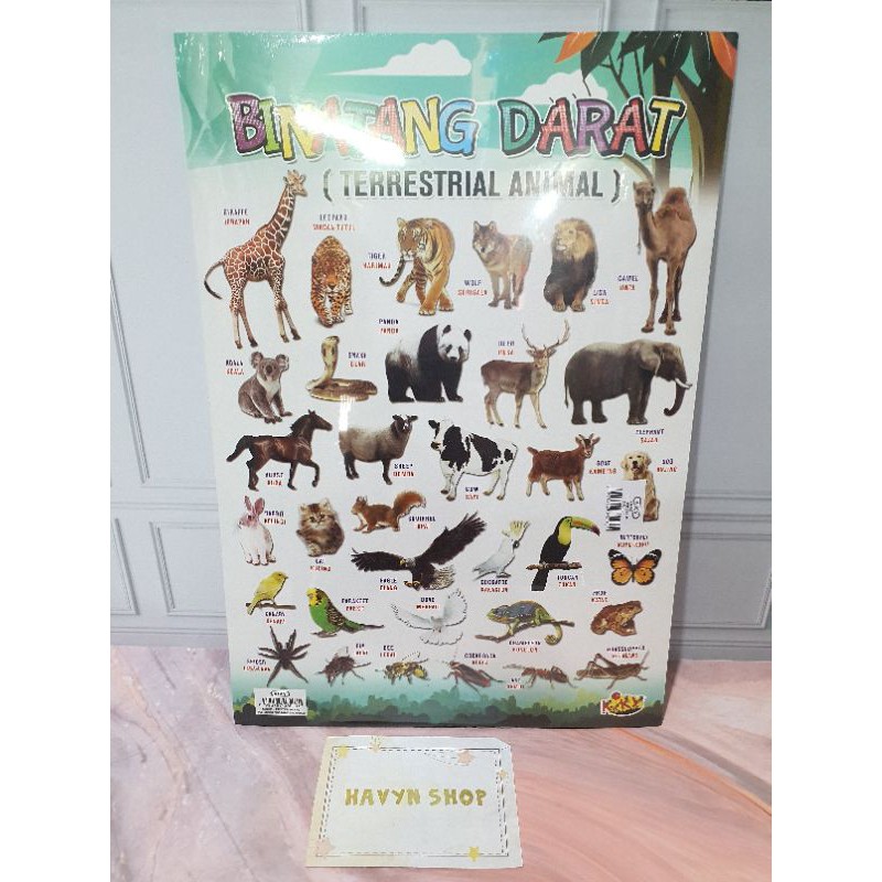 POSTER ANAK/POSTER EDUKASI ANAK/Poster BTS BT21-BINATANG DARAT