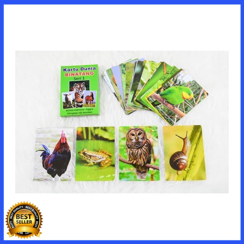Jual Bagus Kartu Binatang Seri 1 - Flash Card Bayi Murah Hewan | Shopee