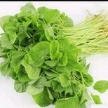 

SAYUR BAYAM
