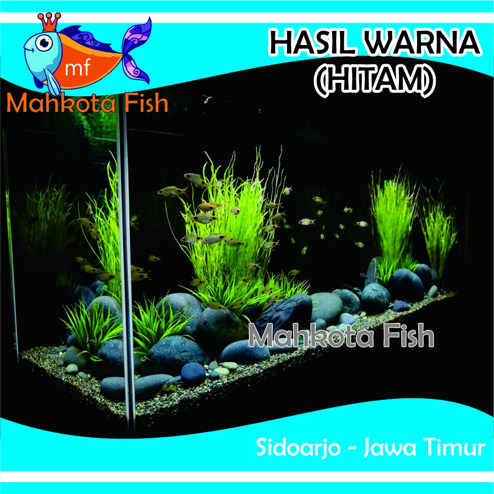 Stiker Aquarium PROMO! | Skotlet Aquarium | Background Aquascape GRATIS PACKING KARDUS