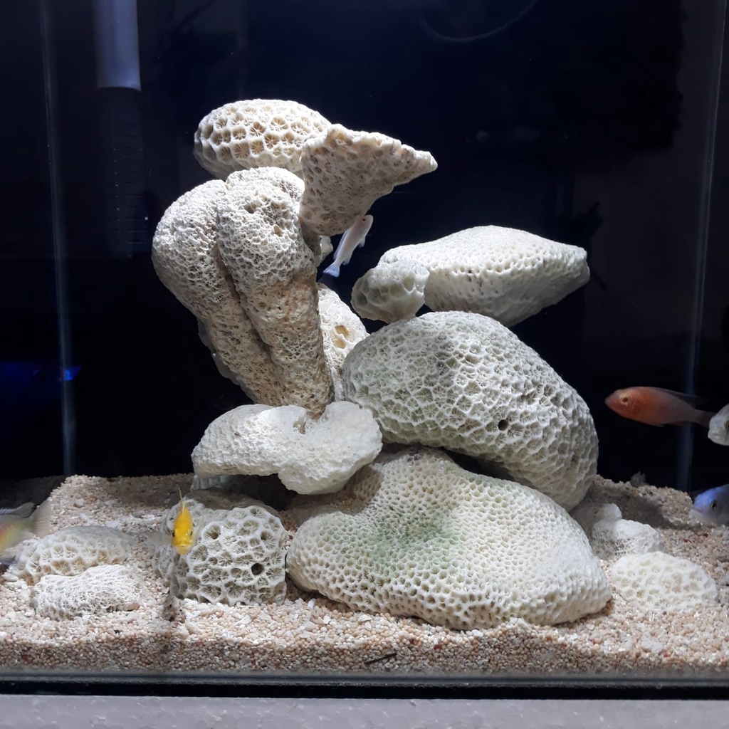 Batu karang bentuk bunga uk 1kg Aquascape-Aquarium