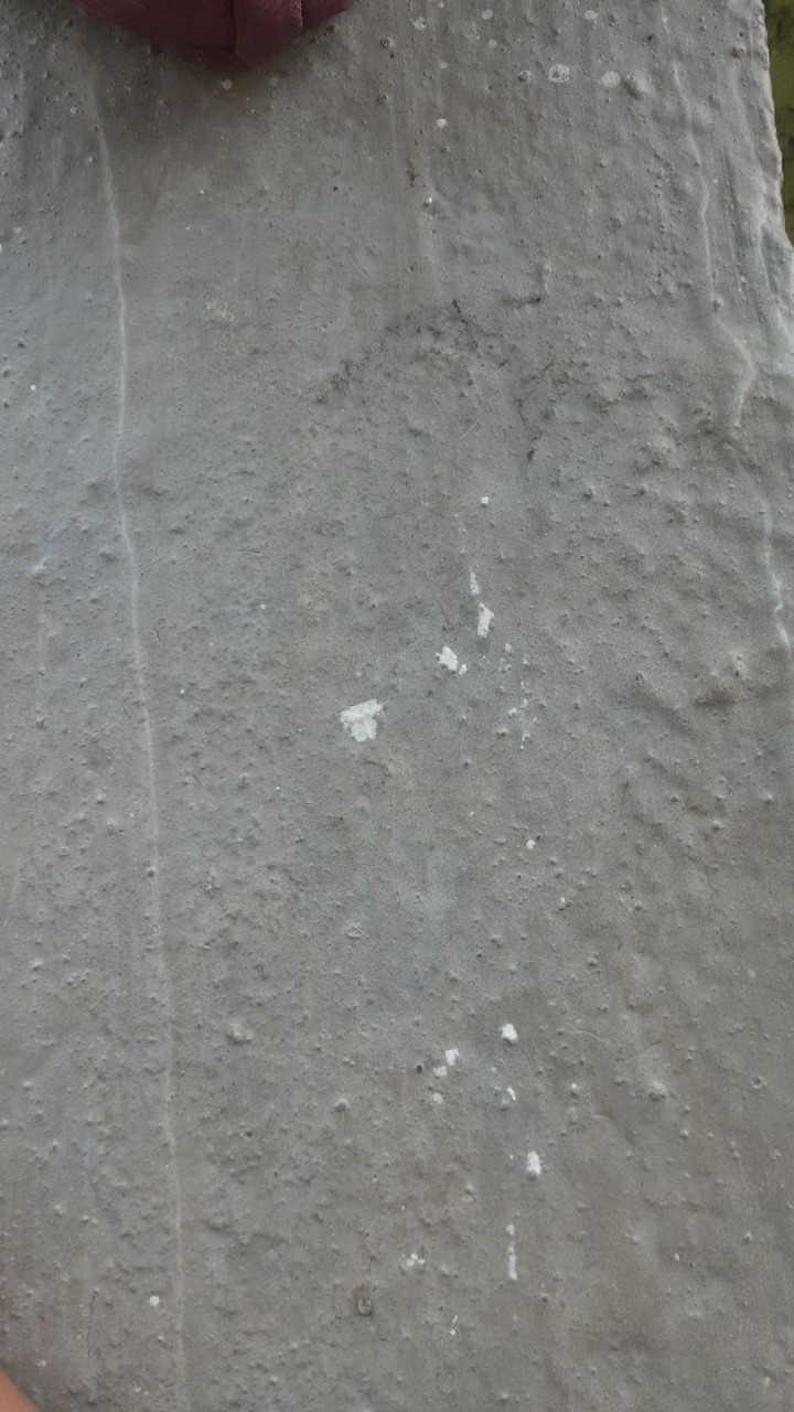 Mata Bor Gerinda 5pcs Alat Kikir Ukir Kayu Rasp Set Woodworking Diy Craft Ball Oval Cylinder Large