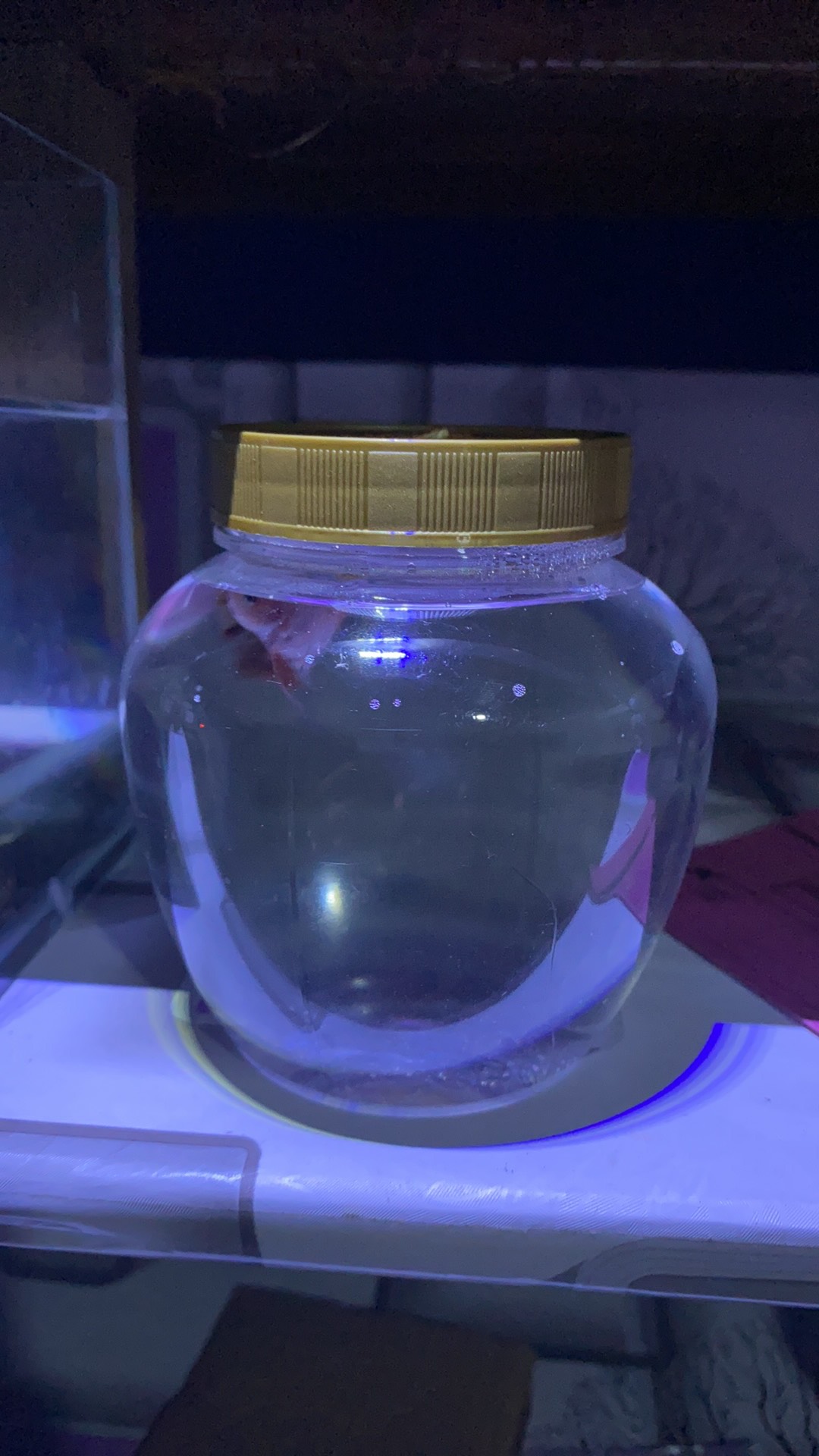 Toples - Botol - Jar Plastik Gentong Kecil 450ml