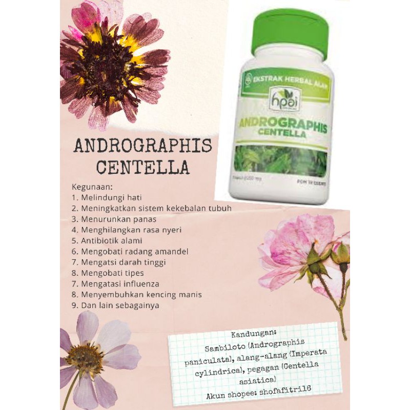 Obat Andrographis centella produk hpai hni-untuk kesehatan, perawatan diri dan tubuh kekebalan tubuh